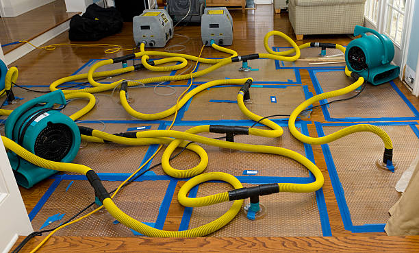 Professional Water Extraction technician working in Davenport, ND